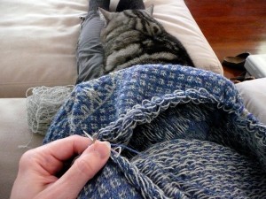 Knitting with Kelvin